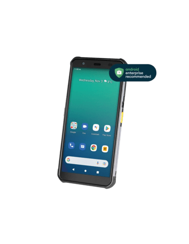 NewLand NFT10 Pilot-Serie, 2D, 14.5cm (5.7''), GPS, USB-C, BT, Wi-Fi, 4G, NFC, Android, kit, GMS, white